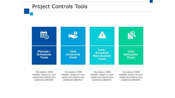 Project Controls Tools Ppt PowerPoint Presentation Styles Maker