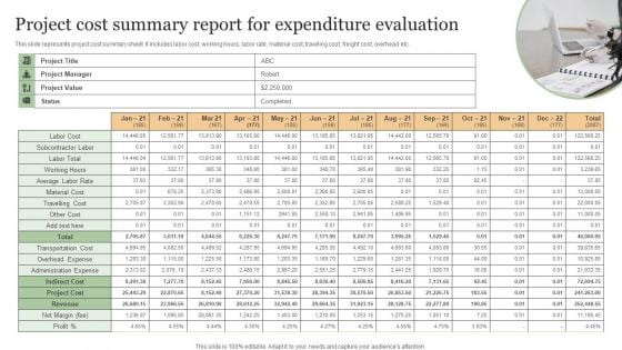 Project Cost Summary Report For Expenditure Evaluation Infographics PDF