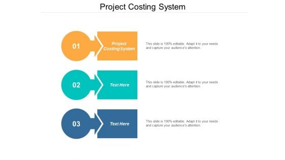 Project Costing System Ppt PowerPoint Presentation Styles Examples