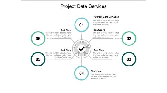 Project Data Services Ppt PowerPoint Presentation Layouts Example Cpb
