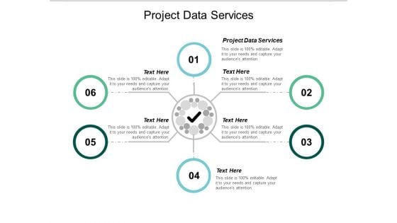 Project Data Services Ppt PowerPoint Presentation Layouts Example Cpb