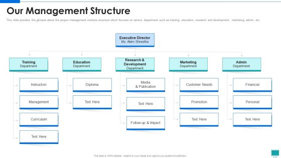 Project Development Expert IT Our Management Structure Ppt PowerPoint Presentation File Skills PDF