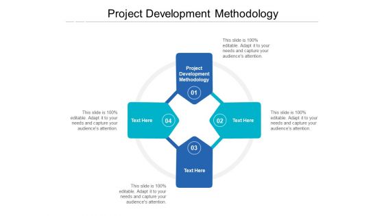 Project Development Methodology Ppt PowerPoint Presentation Show Ideas Cpb