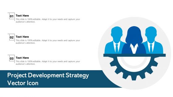 Project Development Strategy Vector Icon Ppt Show PDF