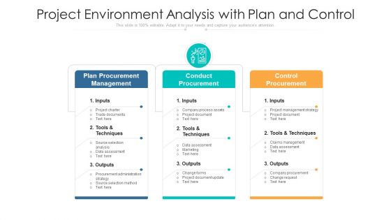 Project Environment Analysis With Plan And Control Ppt Show Brochure PDF