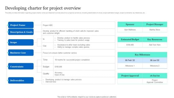 Project Excellence Playbook For Executives Developing Charter For Project Overview Portrait PDF