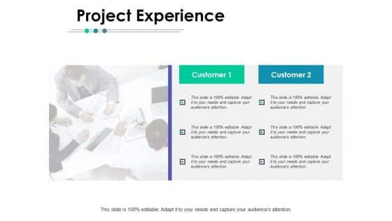 Project Experience Ppt PowerPoint Presentation Portfolio Example