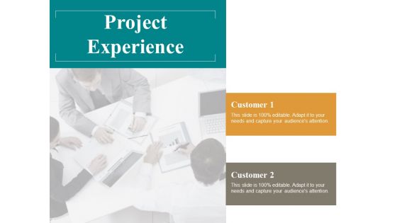 Project Experience Ppt PowerPoint Presentation Show Backgrounds