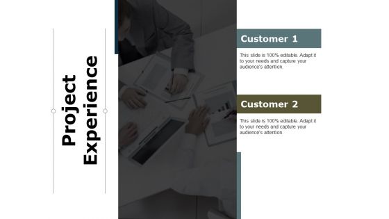 Project Experience Ppt PowerPoint Presentation Show Ideas