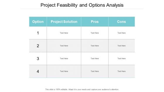 Project Feasibility And Options Analysis Ppt PowerPoint Presentation Outline Backgrounds