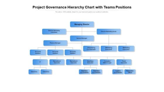 Project Governance Hierarchy Chart With Teams Positions Ppt PowerPoint Presentation File Background