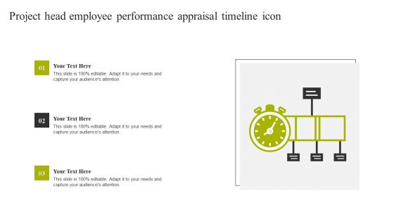 Project Head Employee Performance Appraisal Timeline Icon Diagrams PDF