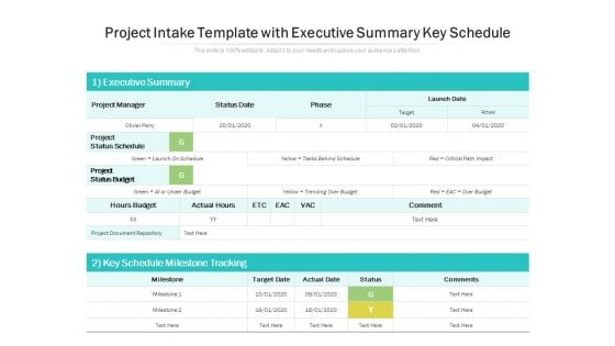 Project Intake Template With Executive Summary Key Schedule Ppt PowerPoint Presentation Summary Icon