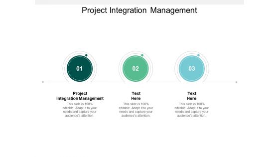 Project Integration Management Ppt PowerPoint Presentation Gallery Slides Cpb