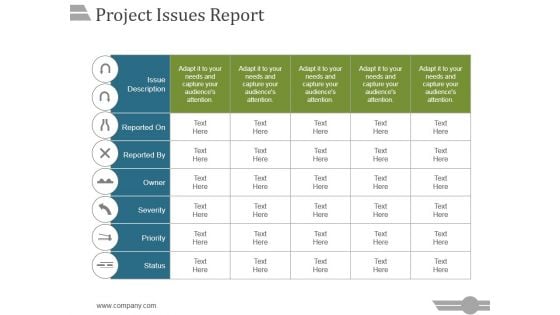 Project Issues Report Ppt PowerPoint Presentation Summary