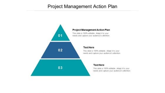 Project Management Action Plan Ppt PowerPoint Presentation Icon Graphics Design Cpb