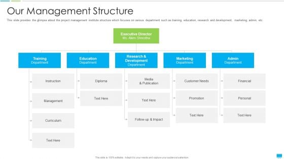 Project Management Coaching IT Our Management Structure Sample PDF