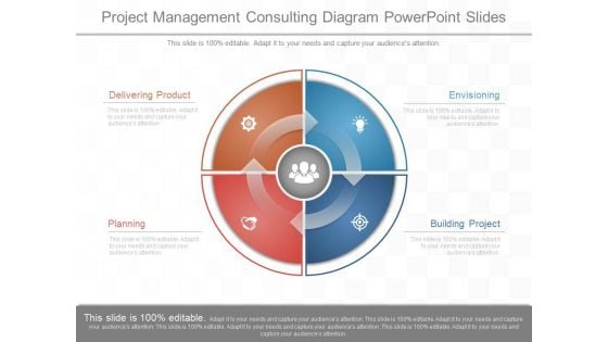 Project Management Consulting Diagram Powerpoint Slides