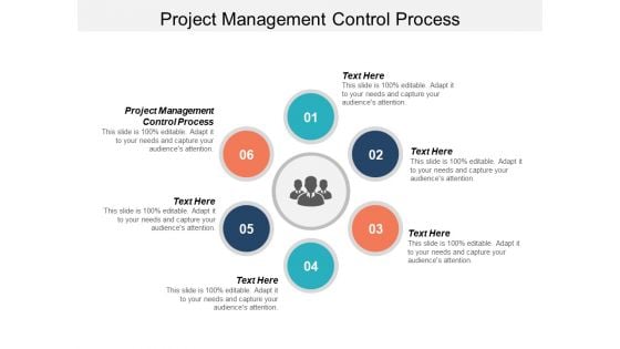 Project Management Control Process Ppt PowerPoint Presentation Gallery Slideshow