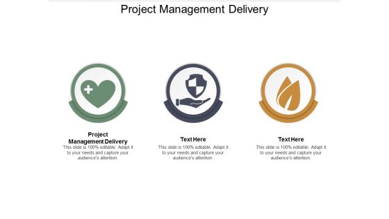 Project Management Delivery Ppt Powerpoint Presentation Infographics Backgrounds Cpb