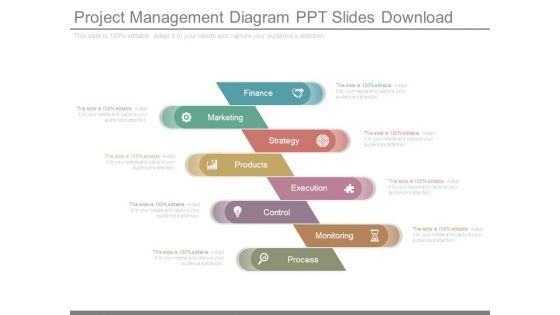 Project Management Diagram Ppt Slides Download