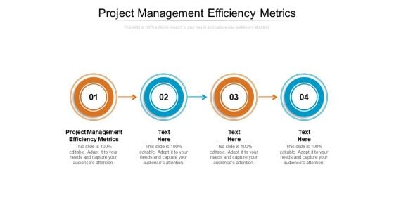 Project Management Efficiency Metrics Ppt PowerPoint Presentation Ideas Model Cpb