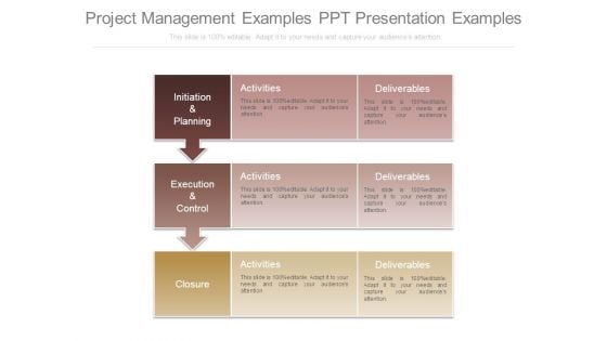 Project Management Examples Ppt Presentation Examples