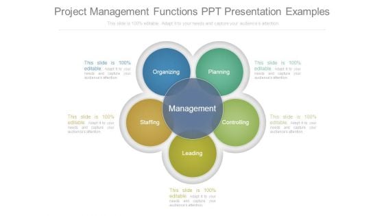 Project Management Functions Ppt Presentation Examples