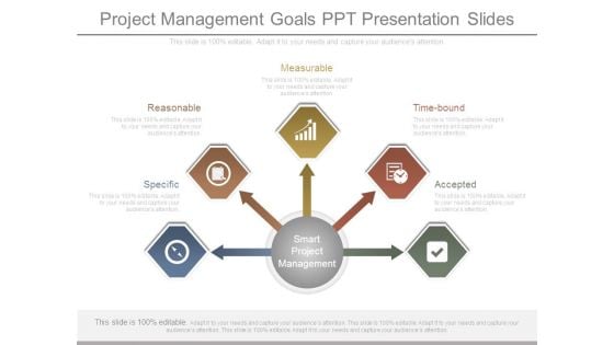 Project Management Goals Ppt Presentation Slides