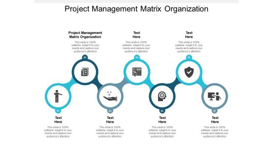 project management matrix organization ppt powerpoint presentation outline diagrams cpb