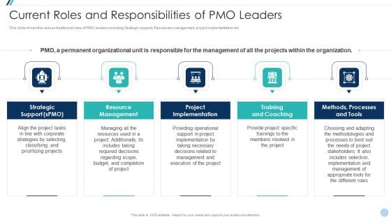 Project Management Office Change Administration Strategy Action Plan Current Roles And Responsibilities Sample PDF