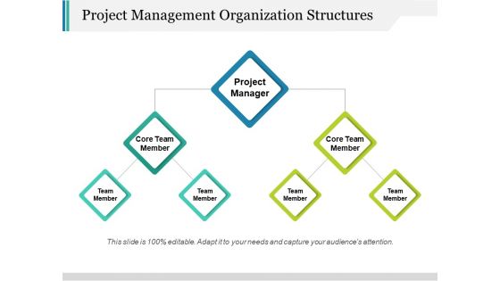 Project Management Organization Structures Ppt PowerPoint Presentation File Slides