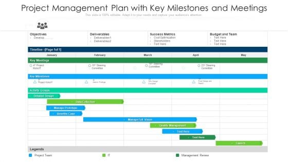 Project Management Plan With Key Milestones And Meetings Ppt PowerPoint Presentation File Aids PDF