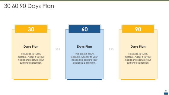 Project Management Professional Certificate Preparation IT 30 60 90 Days Plan Elements PDF