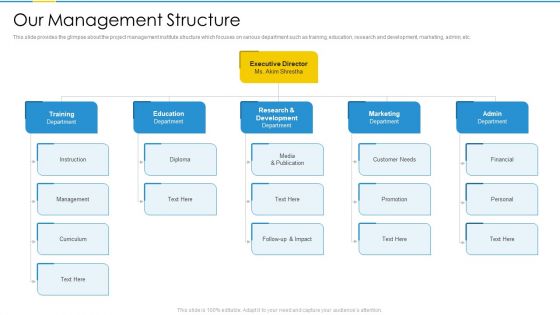 Project Management Professional Certification Courses IT Our Management Structure Themes PDF