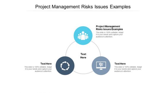 Project Management Risks Issues Examples Ppt PowerPoint Presentation Pictures Show Cpb Pdf