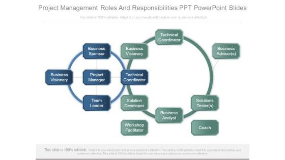 Project Management Roles And Responsibilities Ppt Powerpoint Slides