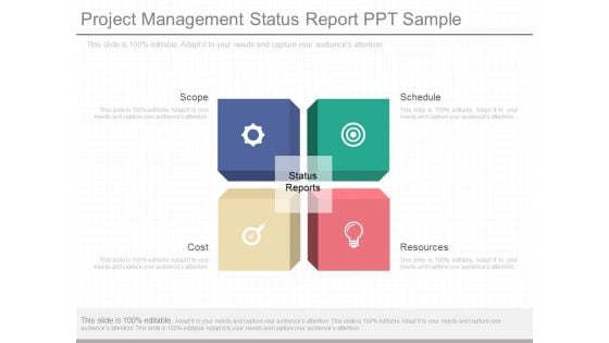 Project Management Status Report Ppt Sample