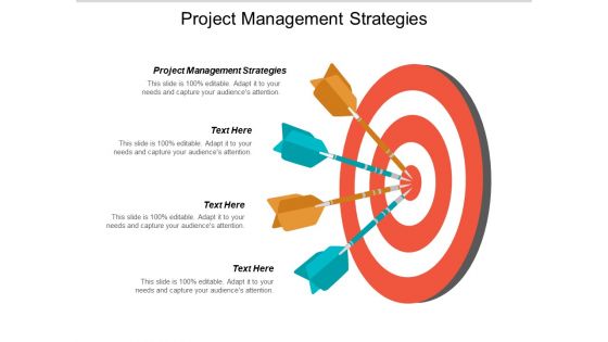 Project Management Strategies Ppt PowerPoint Presentation Professional Slide Cpb