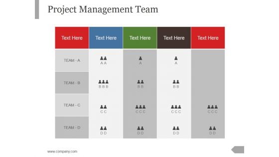 Project Management Team Ppt PowerPoint Presentation Background Designs