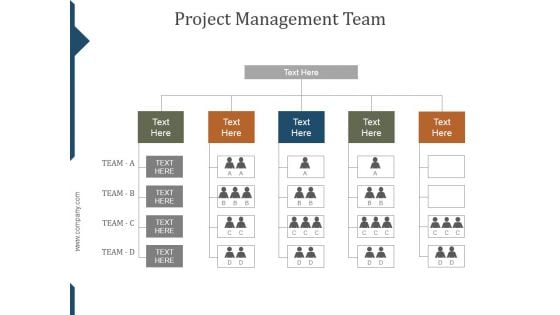 Project Management Team Ppt PowerPoint Presentation Clipart