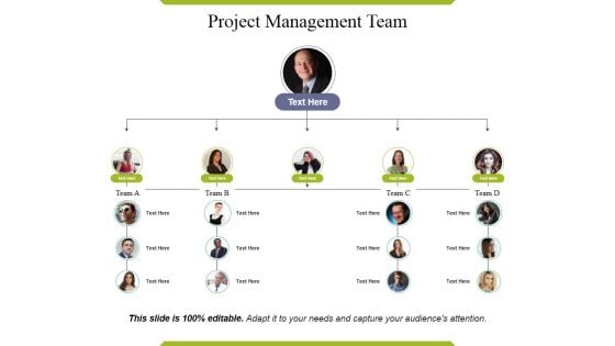 Project Management Team Ppt PowerPoint Presentation Layouts Layout Ideas