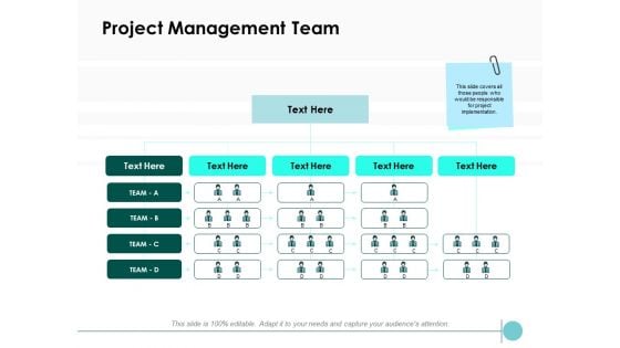 Project Management Team Ppt PowerPoint Presentation Pictures Gallery