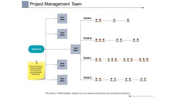 Project Management Team Ppt PowerPoint Presentation Pictures Show