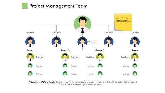 Project Management Team Ppt PowerPoint Presentation Professional Ideas