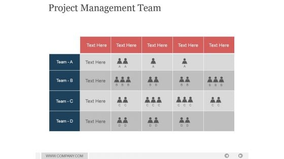 Project Management Team Ppt PowerPoint Presentation Show