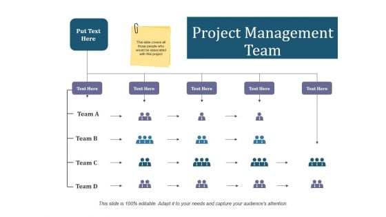 Project Management Team Ppt PowerPoint Presentation Summary Graphics Example