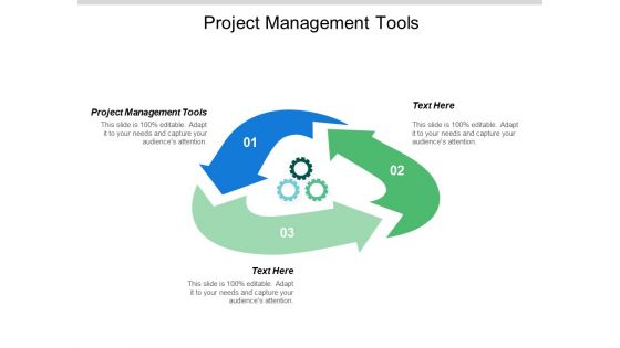 Project Management Tools Ppt PowerPoint Presentation Summary Show Cpb