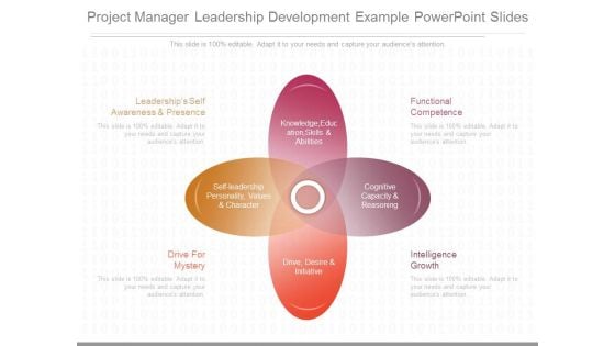 Project Manager Leadership Development Example Powerpoint Slides