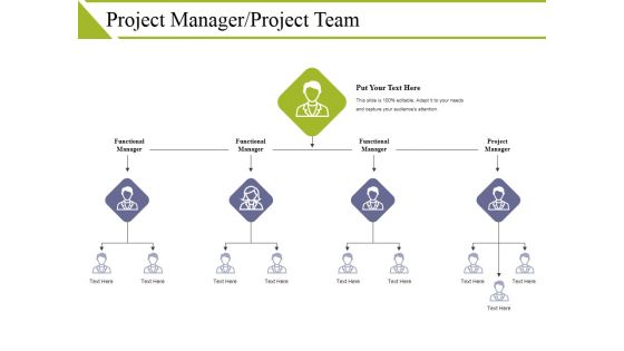 Project Manager Project Team Template 1 Ppt PowerPoint Presentation Infographics Templates